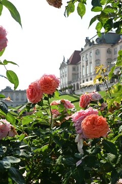 The Upper Garden_fot.A.Żukowska_The Royal Castle in Warsaw