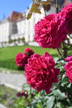 The Upper Garden_fot.A.Żukowska_The Royal Castle in Warsaw
