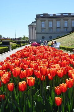 The Upper Garden_A.Żukowska_The Royal Castle in Warsaw