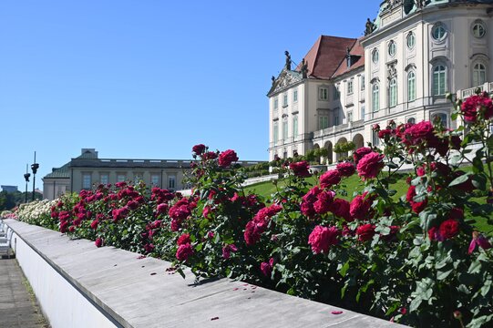 The Upper Garden_fot.A.Żukowska_The Royal Castle in Warsaw