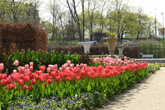 The Lower Garden_The Royal Castle in Warsaw