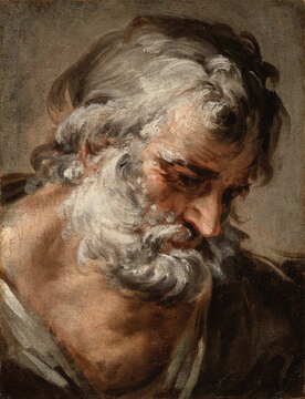 Pietro da Caortona, Head of an Old Man, painting, oil on canvas