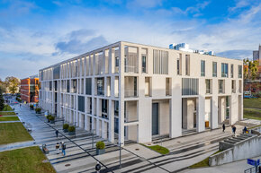 20241118-20241118-DJI_0952 m.jpg