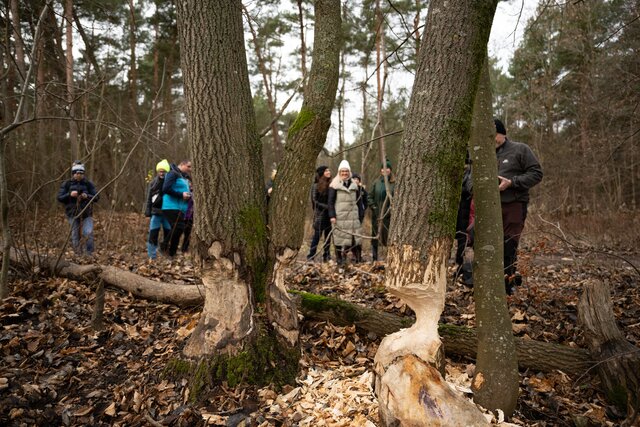 Akademia 13. Planety Energii na Wyspie Sobieszewskiej