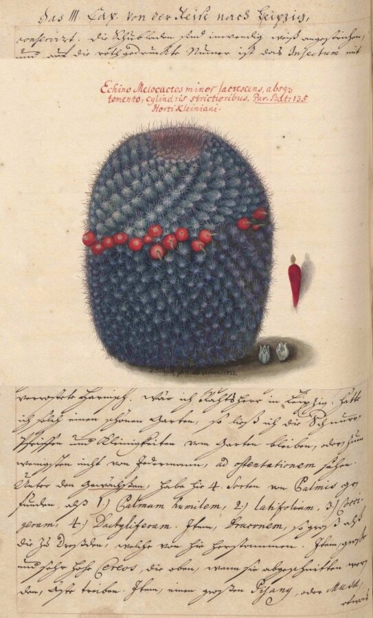 Christian Gabriel Fischer „Itinerarium Gerlach Fischeranum”  1727 2
