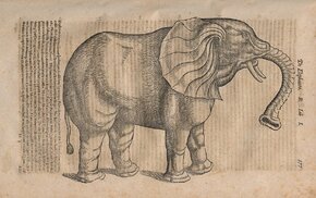 Konrad Gesner „Historia animalum”, 1620_2.jpg