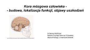 Lekcje UG - "Kora mózgowa człowieka - budowa, lokalizacja funkcji, objawy uszkodzeń" - dr hab. Dorota Myślińska, prof.  UG

Lekcje UG – gotowe materiały w formie lekcji, przygotowane przez pracowników Uniwersytetu Gdańskiego, które można wykorzystać w szkole oraz podczas nauczania zdalnego.  

#LekcjeUG #UGdzielisięwiedzą  

Współpraca z #SaurNeptunGdańsk