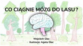 "Co ciągnie mózg do lasu?" - dr Wojciech Glac, prof. UG

Lekcje UG – gotowe materiały w formie lekcji, przygotowane przez pracowników Uniwersytetu Gdańskiego, które można wykorzystać w szkole oraz podczas nauczania zdalnego.  

#LekcjeUG #UGdzielisięwiedzą  

Współpraca z #SaurNeptunGdańsk