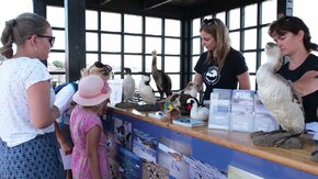 Lato z foką - kulturalne plażowanie 2021. 
Goście, turyści i mieszkańcy Helu mogli skorzystać z atrakcji przygotowanych przez ACK Alternator UG. Warsztaty, pokaz tai chi, spotkania autorskie, gra terenowa i zwiedzanie – wszystko pod znakiem FOKI.

______________
𝗢𝗿𝗴𝗮𝗻𝗶𝘇𝗮𝘁𝗼𝗿𝘇𝘆:
Uniwersytet Gdański, Akademickie Centrum Kultury UG "Alternator", Stacja Morska im. Profesora Krzysztofa Skóry IO UG, Fundacja Rozwoju Uniwersytetu Gdańskiego, Wydawnictwo Uniwersytetu Gdańskiego, Centrum Studiów Azji Wschodniej UG, Parlament Studentów UG, Centrum Aktywności Studenckiej i Doktoranckiej UG, Centrum Komunikacji i Promocji UG, Wydawnictwo Wielka Litera, Wydawnictwo MUZA SA
𝗣𝗮𝗿𝘁𝗻𝗲𝗿𝘇𝘆:
Urząd Miasta Helu, Muzeum Rybołówstwa w Helu
𝗣𝗮𝘁𝗿𝗼𝗻𝗶 𝗺𝗲𝗱𝗶𝗮𝗹𝗻𝗶:
"Gazeta Uniwersytecka", Pismo Społeczności Akademickiej UG, Radio MORS, Centrum Produkcji Filmowej i Dokumentalnej UG.