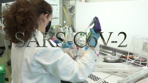 Pierwszy odcinek UG o koronawirusie w ramach cyklu „Społeczna odpowiedzialność UG na Pomorzu".
Co nasi naukowcy już wiedzą? Kiedy otrzymamy szczepionkę? Jaka czeka nas przyszłość? 
Partner projektu: Saur Neptun Gdańsk