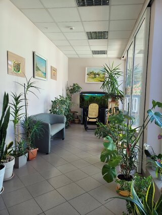 Elbląg Hospicjum (19)