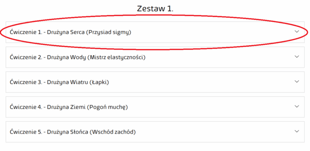 zestaw 1
