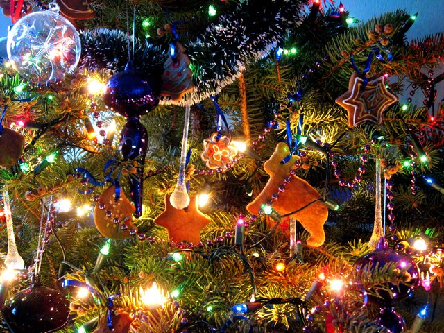 Wyróżnienie w kat. Mój Dom