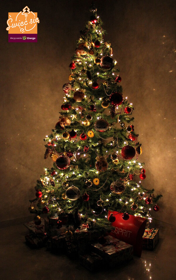 II miejsce w kat. Mój Dom