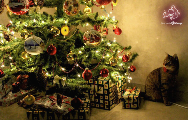 III miejsce w kat. Mój Dom