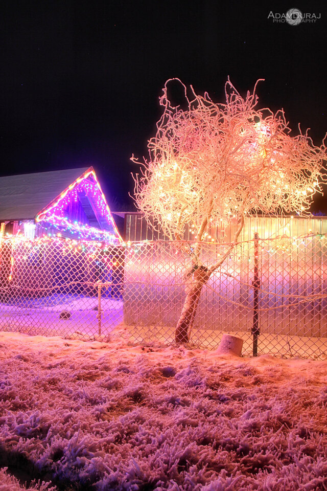 I miejsce w kat. Mój Dom (na zewnątrz)