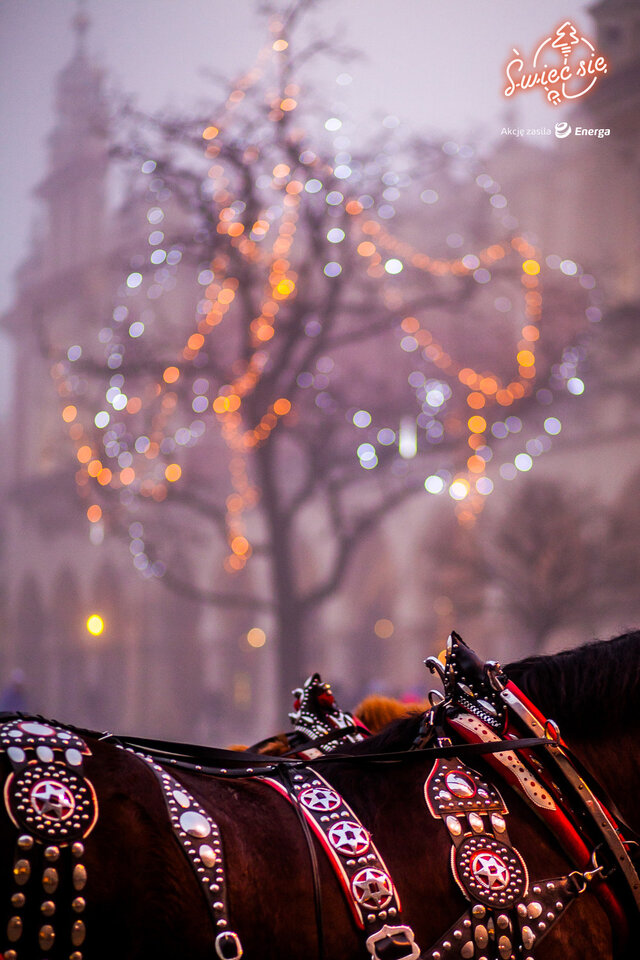 Grand Prix oraz I miejsce w kat. Moje Miasto (3 z 3)