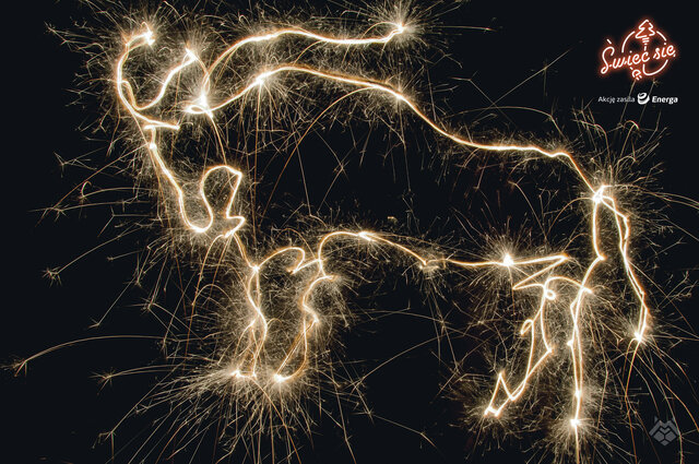 Wyróżnienie w kat. Moja Iluminacja