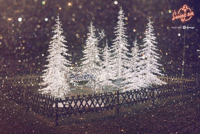 Wyróżnienie w kat. Moja Iluminacja