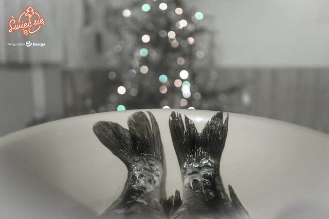 Wyróżnienie w kat. Moja Iluminacja