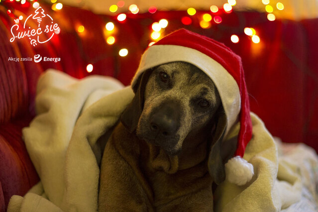 II miejsce w głosowaniu publiczności i wyróżnienie w kat. Moja Rodzina