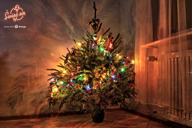 Wyróżnienie w kat. Mój Dom