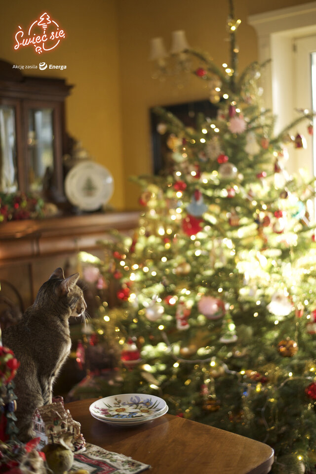 I miejsce w kat. Mój Dom (2 z 3)