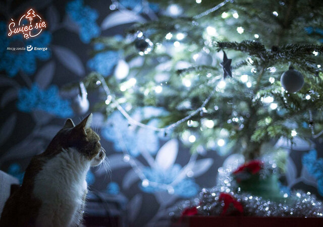 II miejsce w kat. Mój Dom