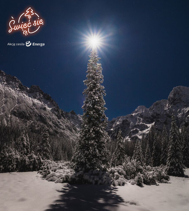 II miejsce w kat. Moja Iluminacja