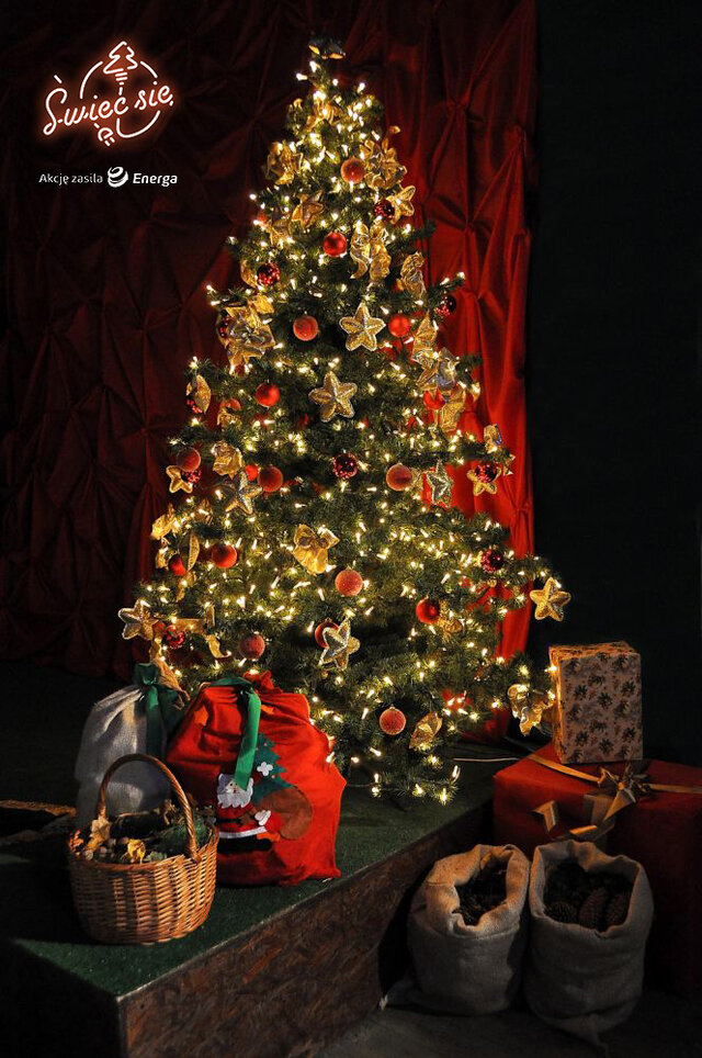 II miejsce w głosowaniu publiczności