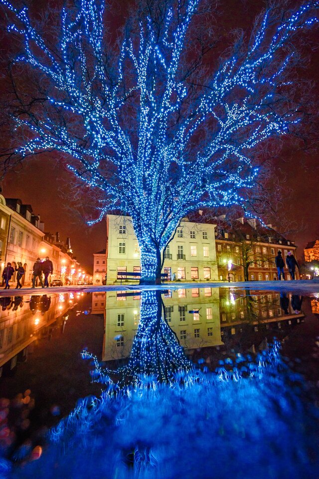 Wyróżnienie jury w kat. Moja Iluminacja