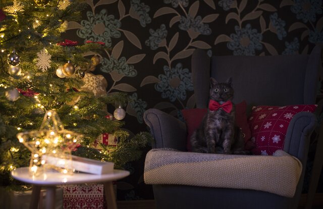 Wyróżnienie jury w kat. Mój Dom