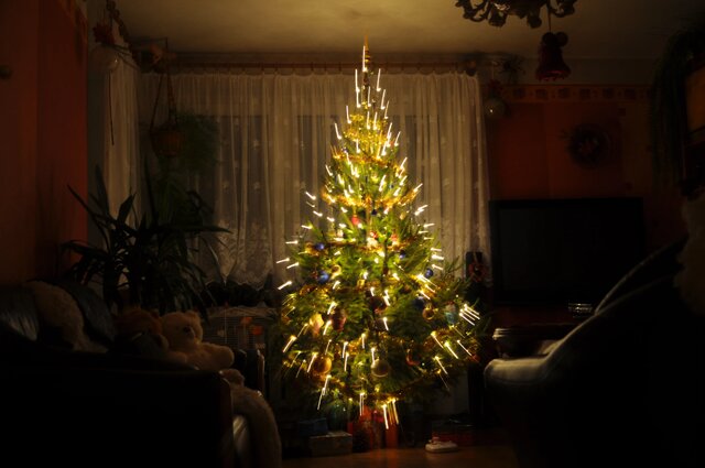 Wyróżnienie jury w kat. Mój Dom