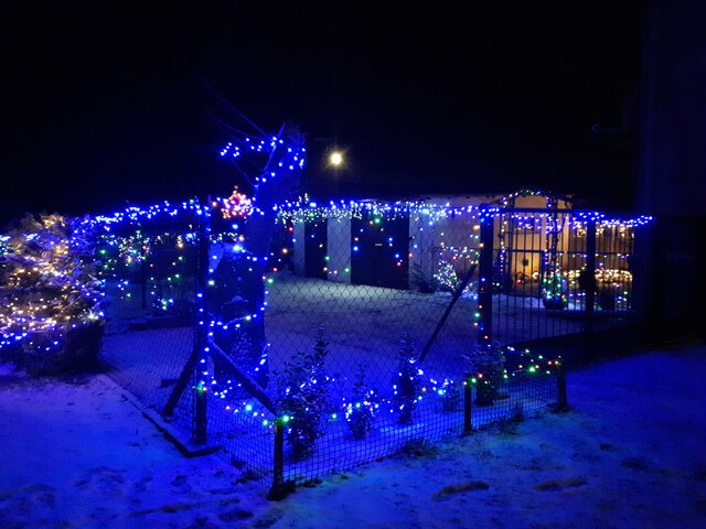 Wyróżnienie publiczności w kat. Moja Iluminacja