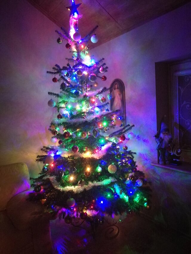 Wyróżnienie publiczności w kat. Mój Dom