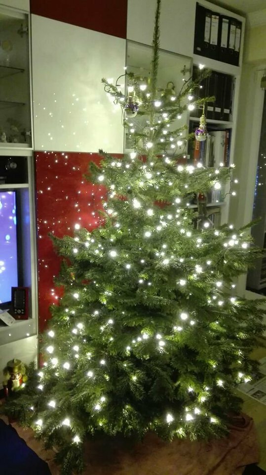 Wyróżnienie publiczności w kat. Mój Dom