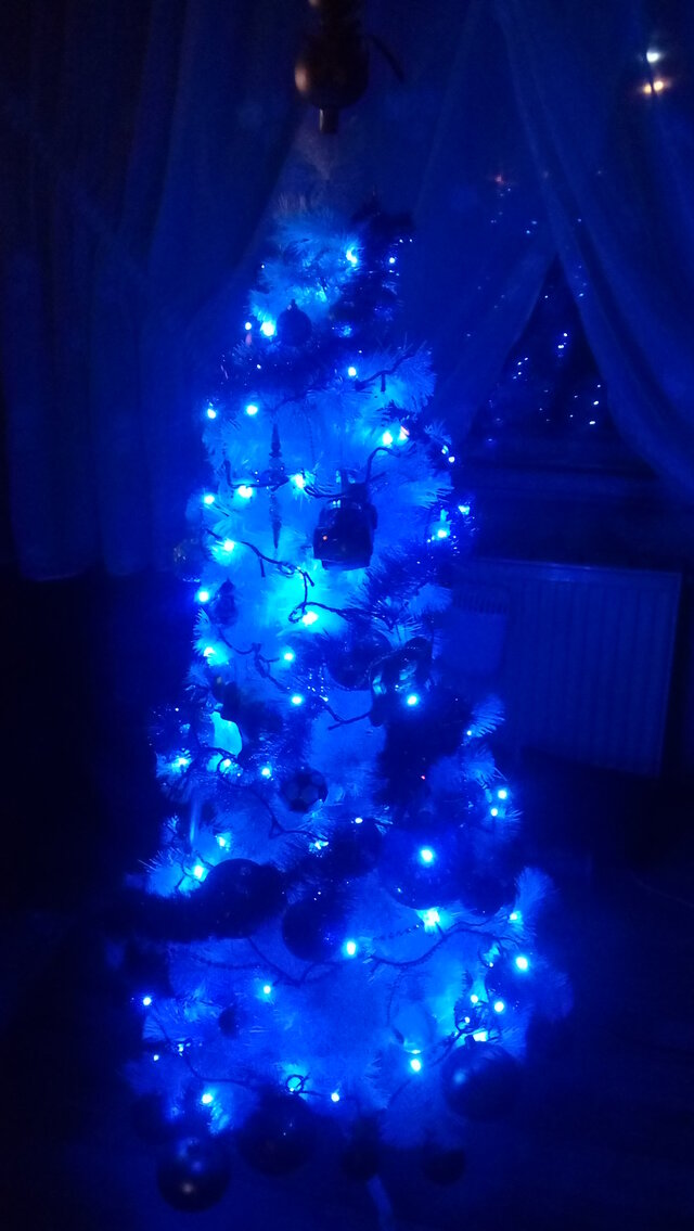 Wyróżnienie publiczności w kat. Moi Bliscy