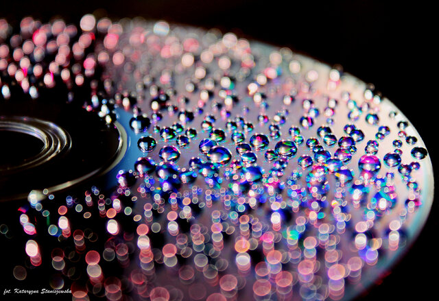 Wyróżnienie publiczności w kat. Moja Iluminacja