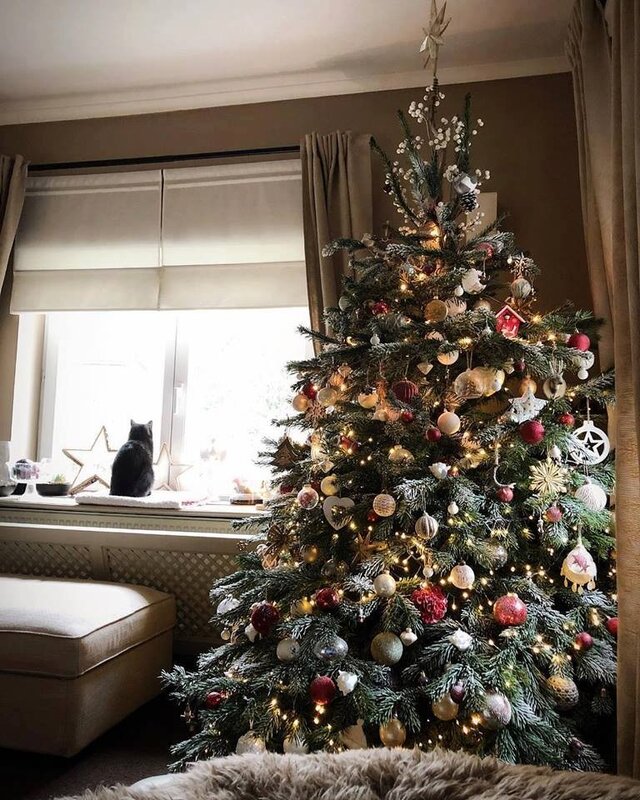 Wyróżnienie jury w kat. Mój Dom