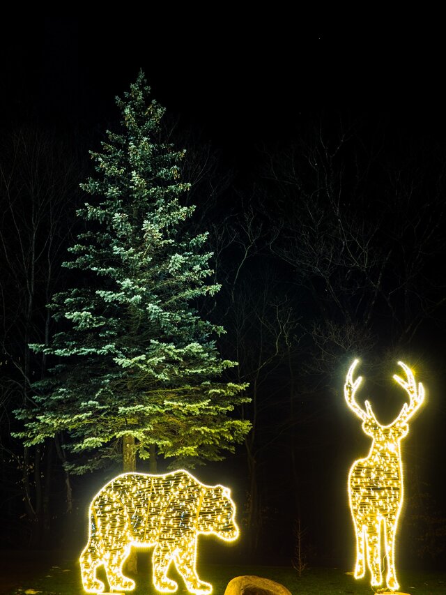 Wyróżnienie jury w kat. Mój Dom