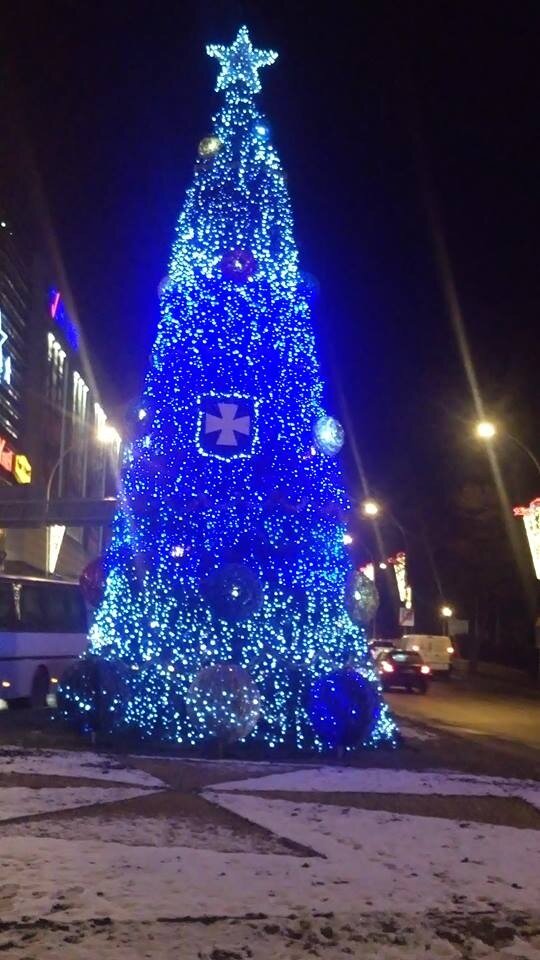 I miejsce w głosowaniu publiczności - województwo podkarpackie