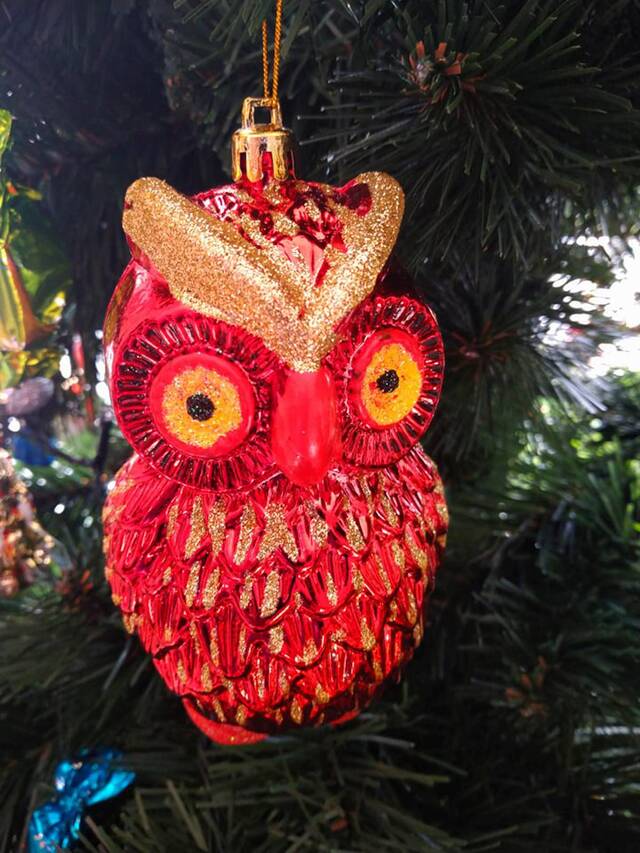 I miejsce w głosowaniu publiczności - województwo małopolskie