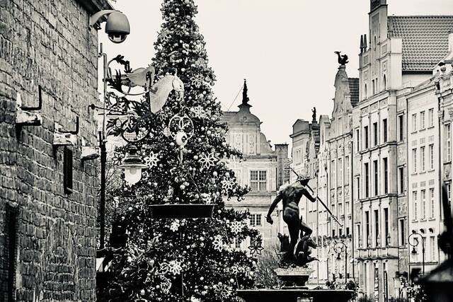 I miejsce w głosowaniu publiczności - województwo pomorskie