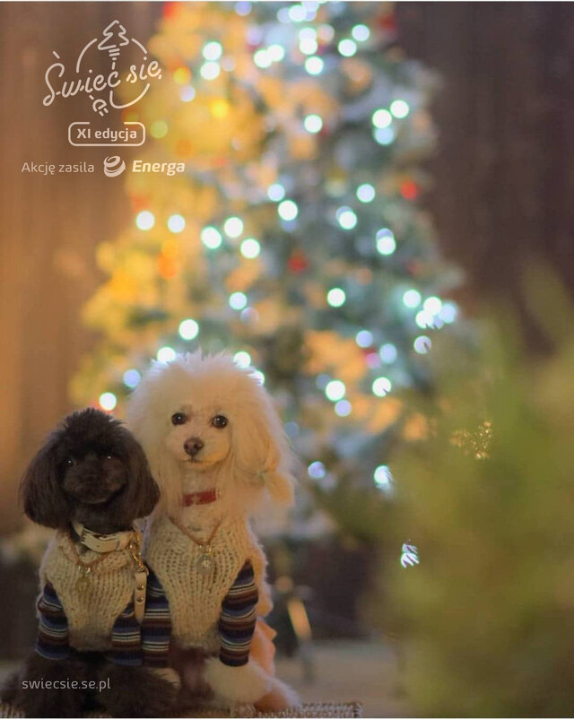 Wyróżnienie jury w kat. Moi Bliscy