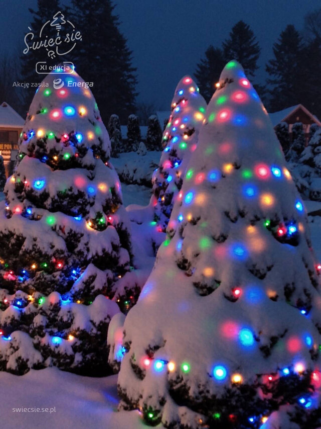 Wyróżnienie jury w kat. Mój Dom