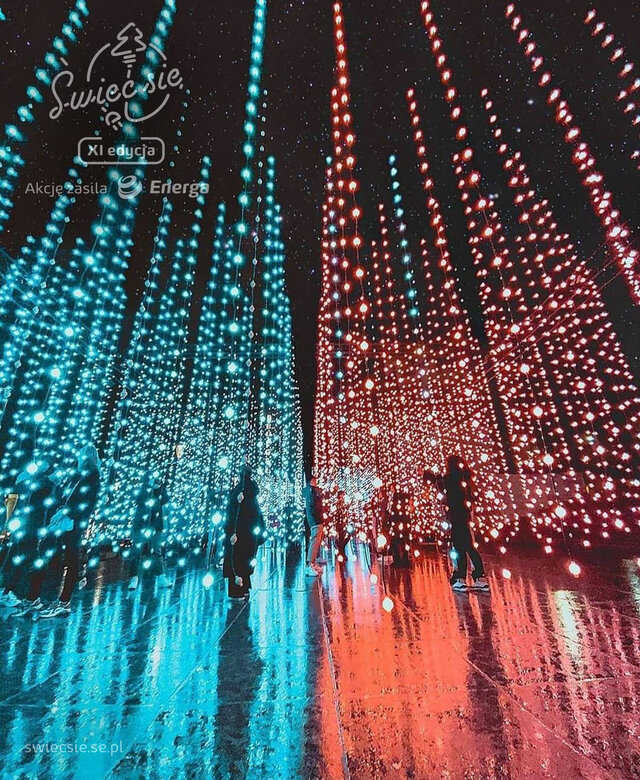 Wyróżnienie jury w kat. Moja Iluminacja