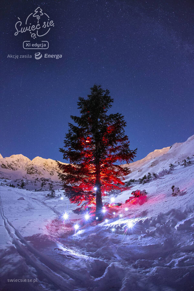 Wyróżnienie jury w kat. Moja Iluminacja