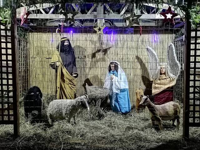 Wyróżnienie jury w kat. Moja Ulubiona Szopka