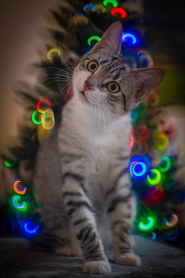 Wyróżnienie jury w kat. Moi Bliscy