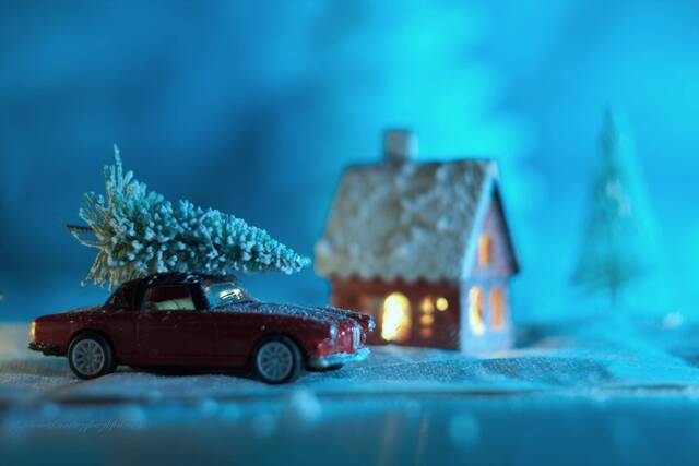 Wyróżnienie jury w kat. Mój Dom